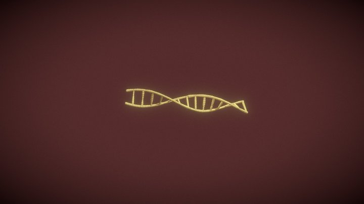 Fita dupla de DNA, p/ disc. Processos Biológicos 3D Model