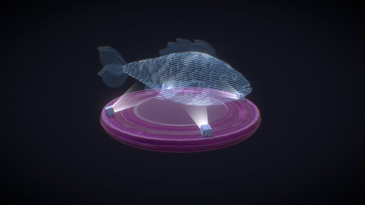 Holo Fish 3D Model