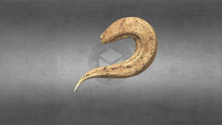 Cuerno 2 3D Model