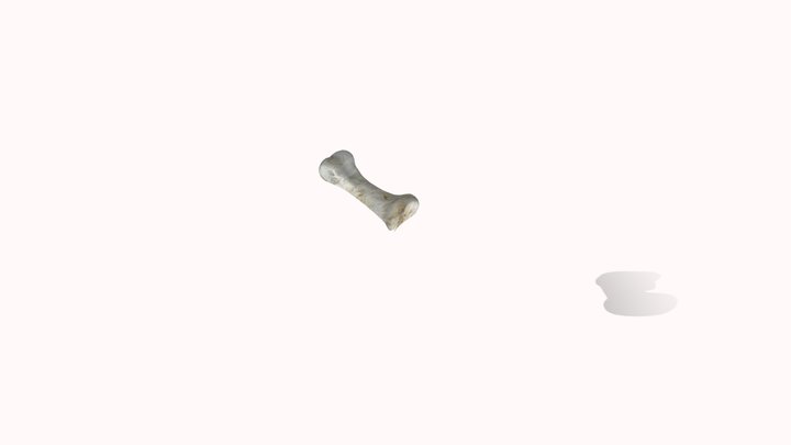 hand 6 3D Model