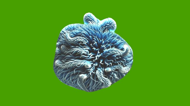Blue And Hairy – Modelo 3D gratuito STL