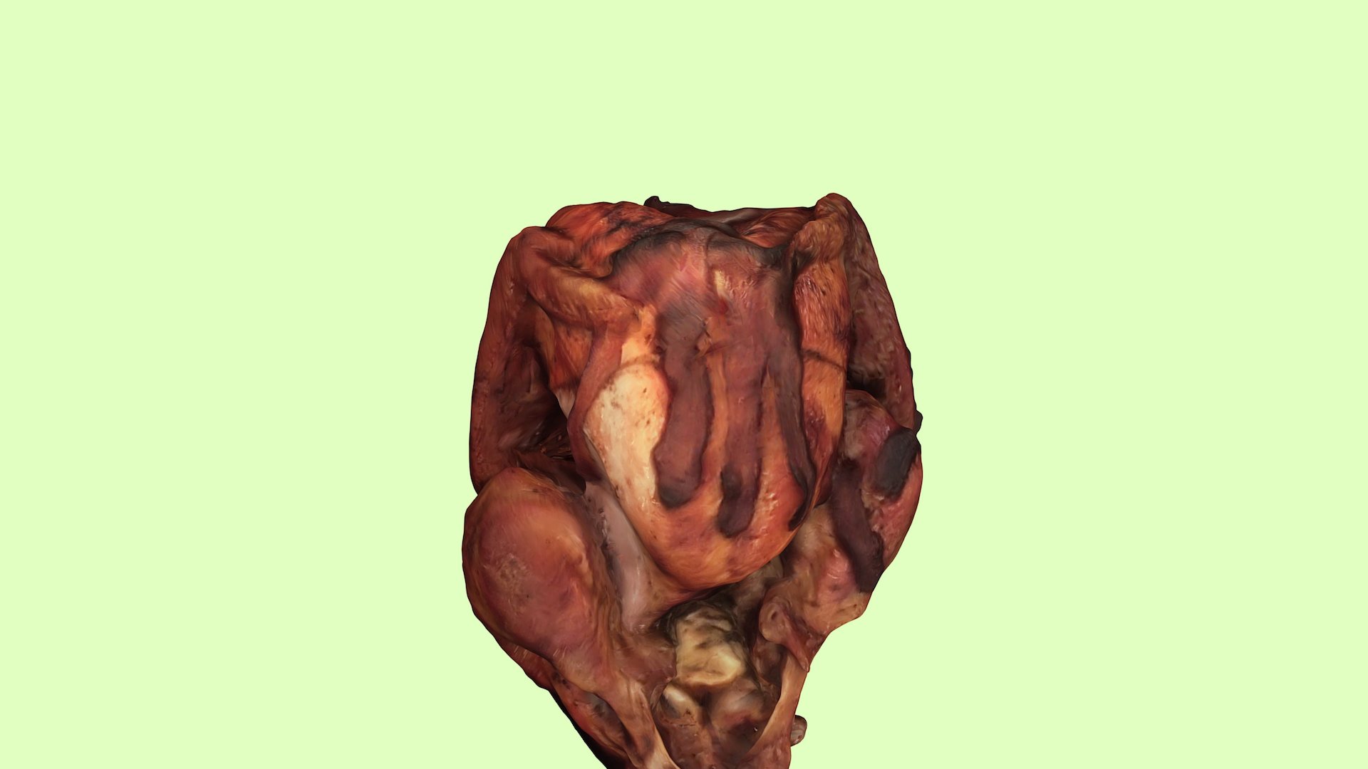 Thanksgiving Turkey 2015