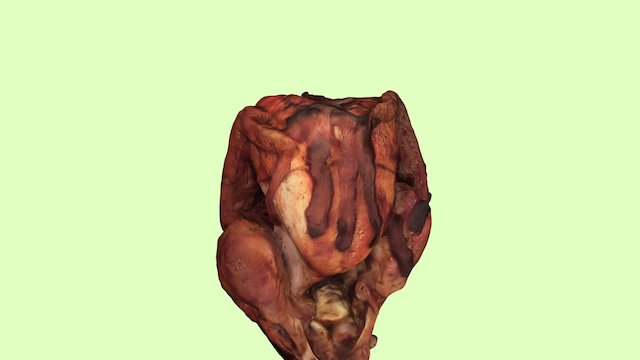 Thanksgiving Turkey 2015 3D Model