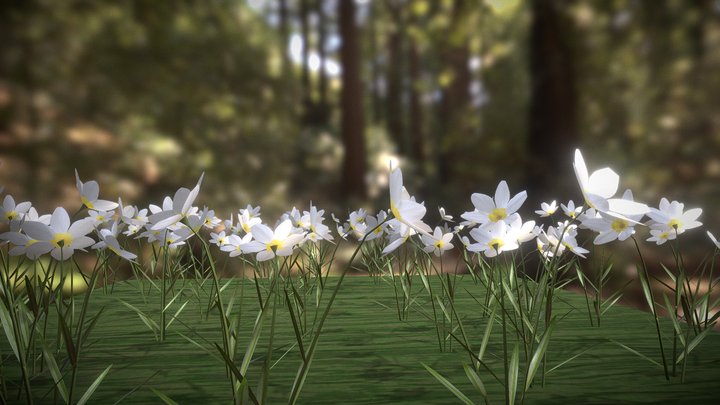 Flowers 3D Model
