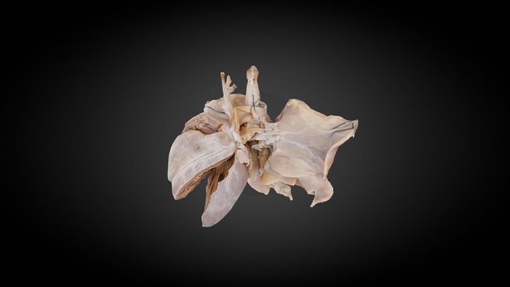 107 3D Model