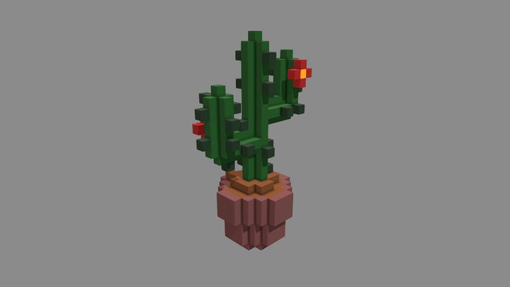 Voxel Cactus 3D Model