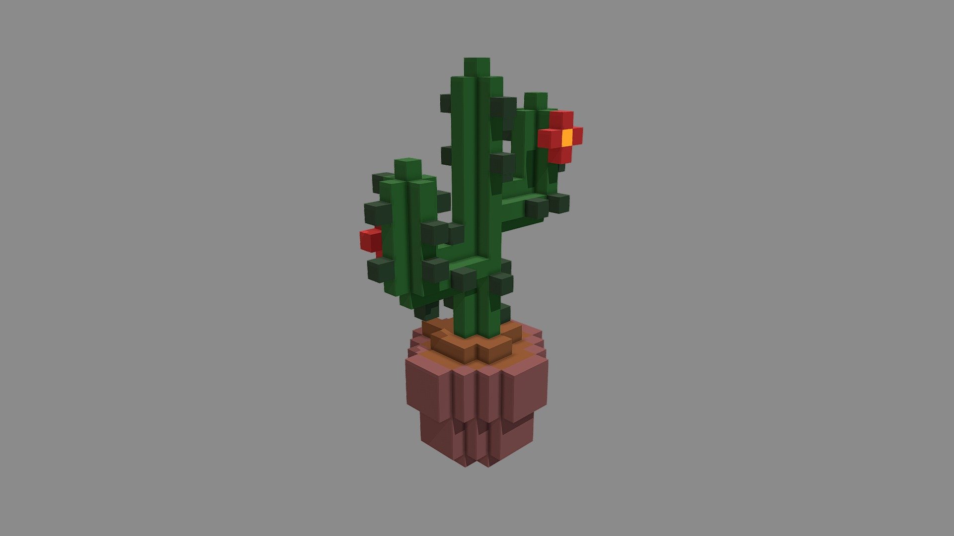 Voxel Cactus