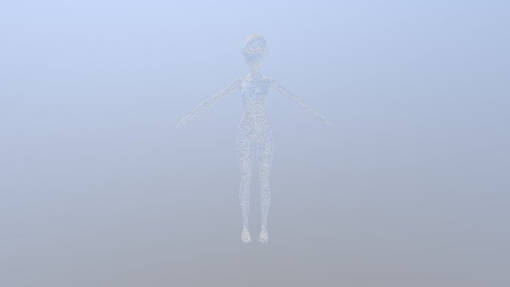 Pirate Model Body Blockout 3D Model