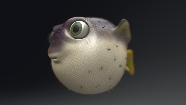 Blowfish (collab) 3D Model