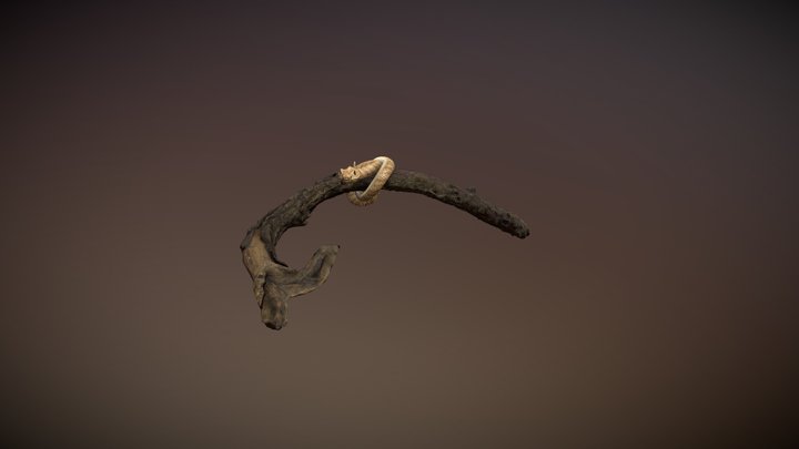 snake 3D Model
