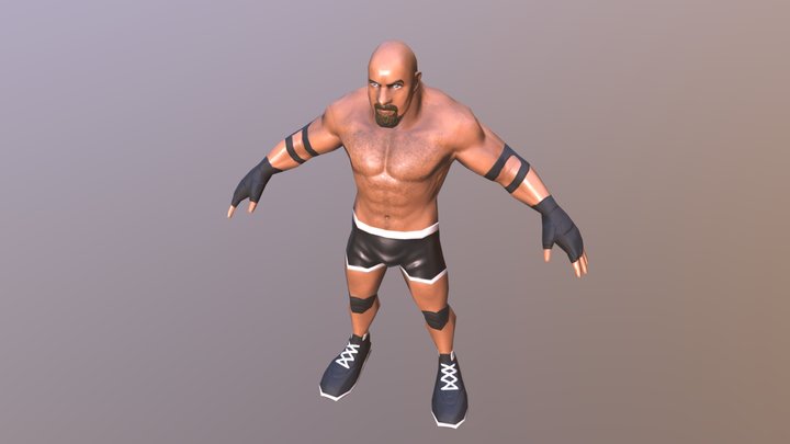 Cartoon fighter Goldrerg 3D Model