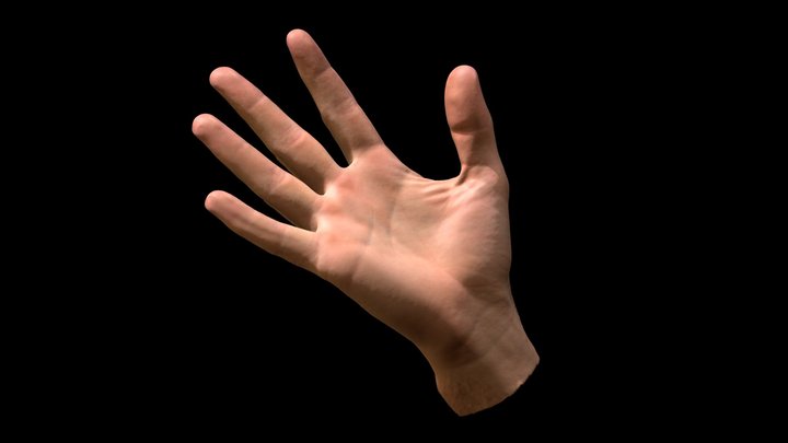 Kevin's Hand 3D Model