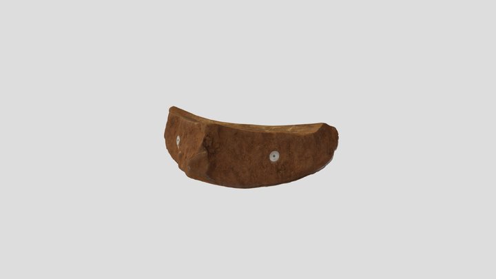 model 3D Model