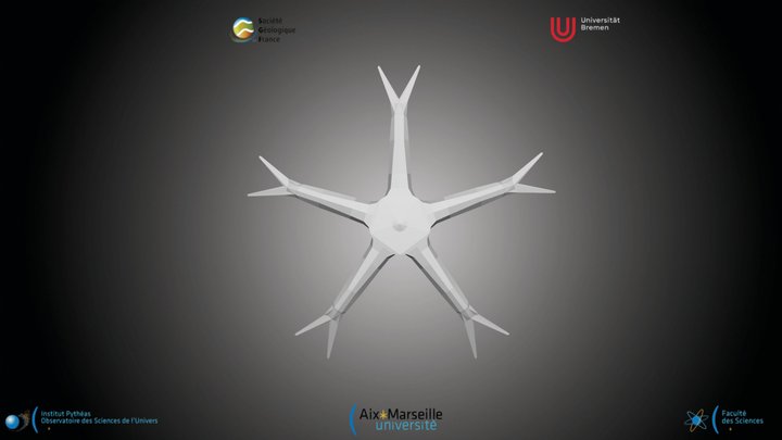 Nannofossile - Discoaster pentaradiatus – Kostenloses 3D-Modell STL