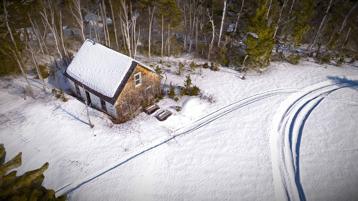 Abandoned Cabin In Remote Canadian Woods