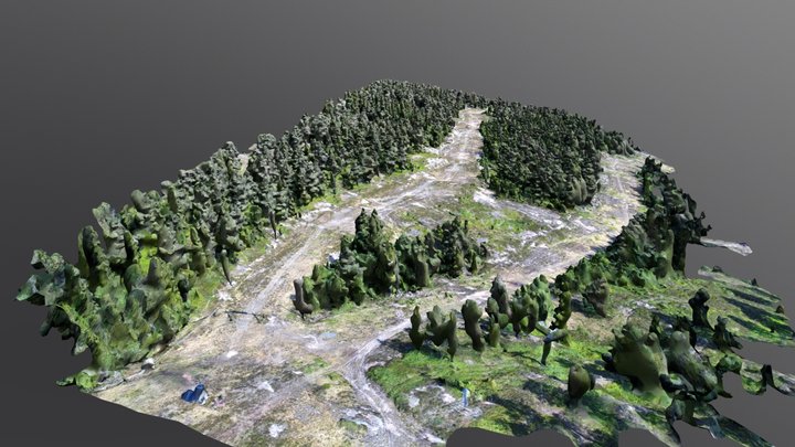 Konningen Summer Map 3D Model