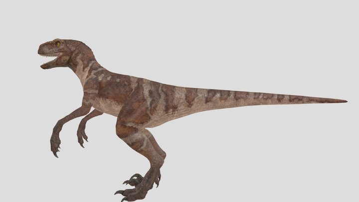 Red The Atrociraptor – Modello 3D gratuito STL