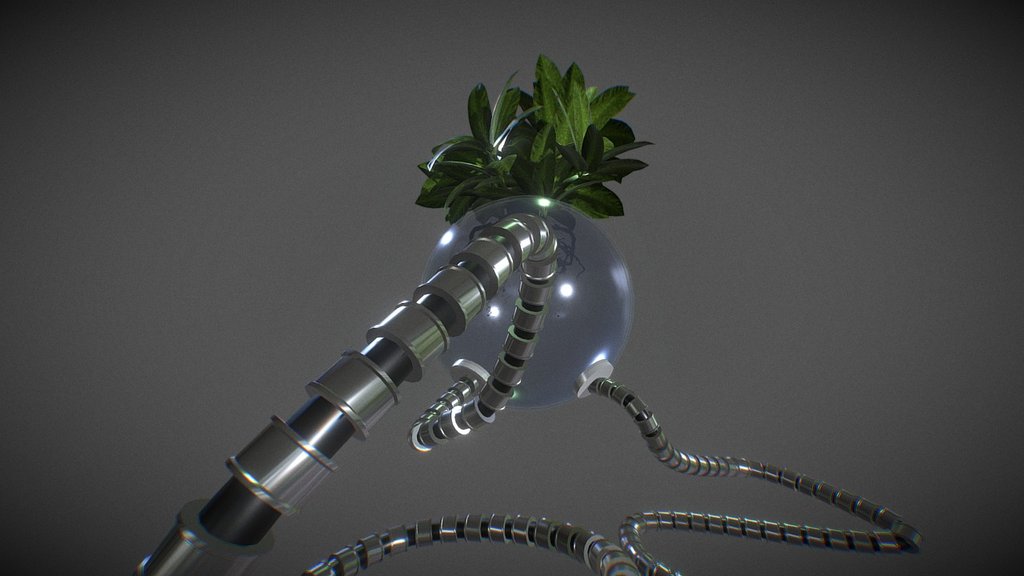 Pop-Plant