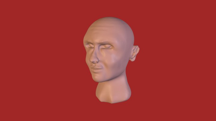 face 3D Model