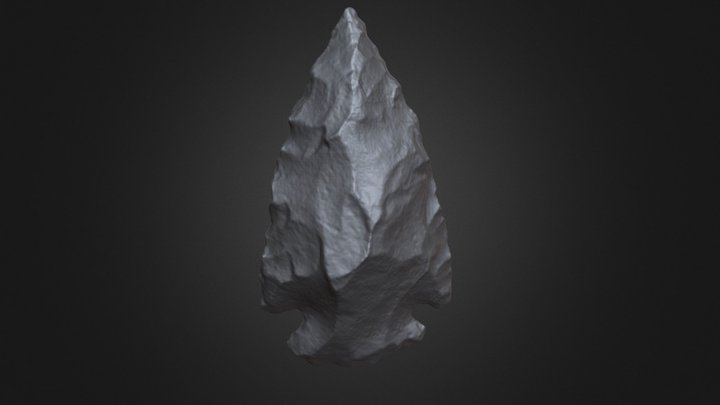 3D scan of a replica projectile point 3D Model
