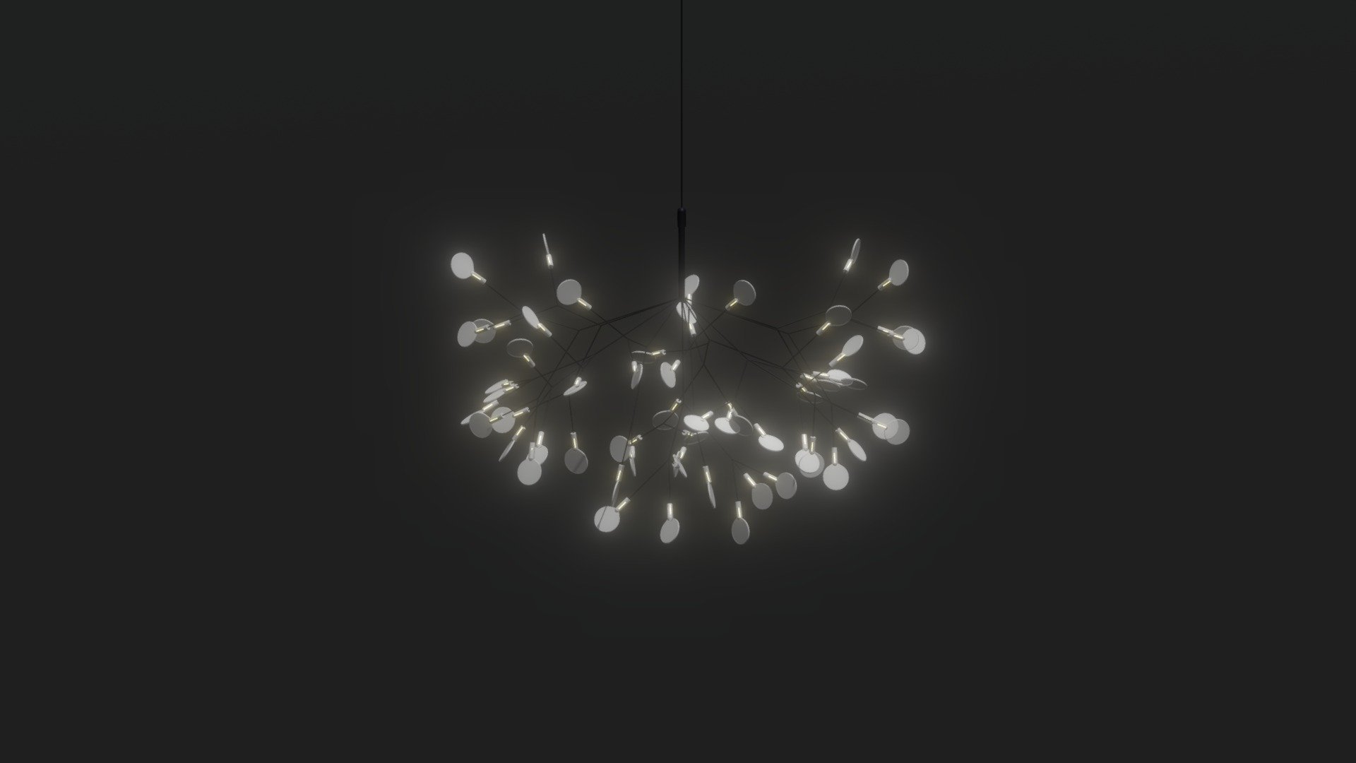 Heracleum (matte)