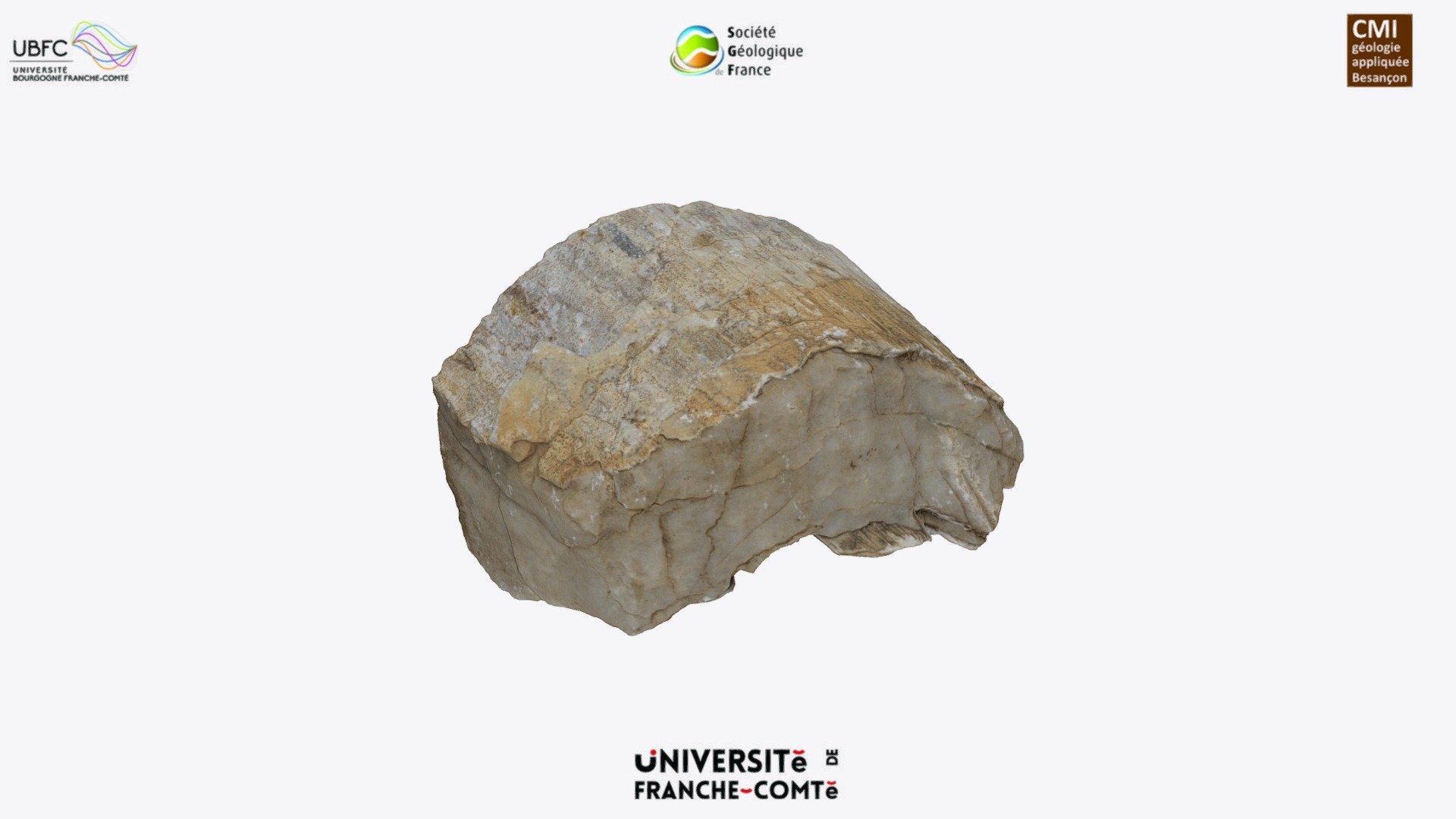 Folded slickenside fault plane