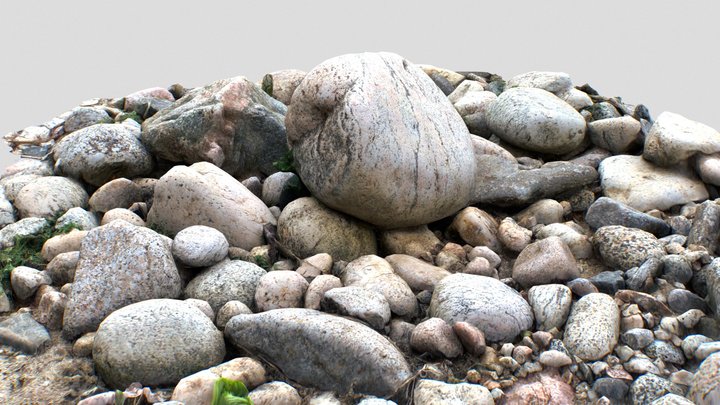 Rocks and pebbles scan 3D Model