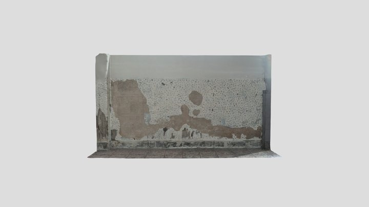 Una Pared 3D Model