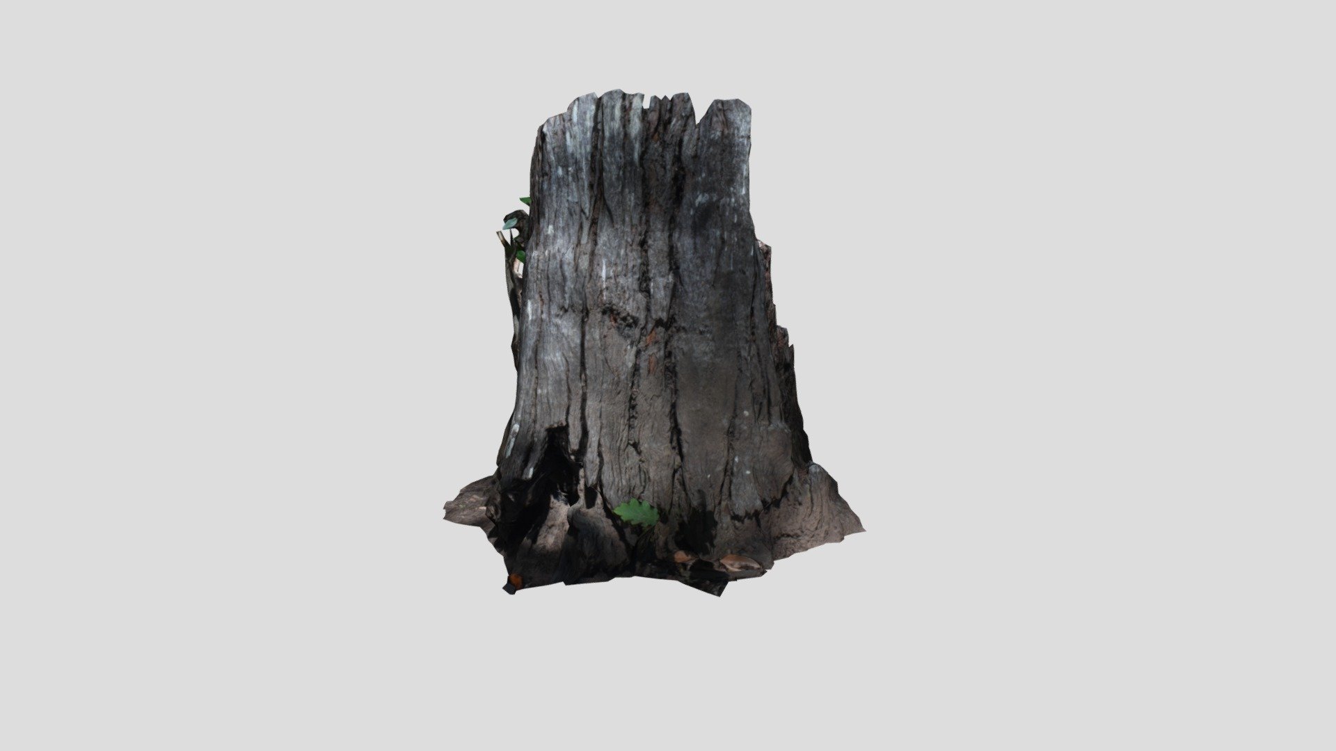 Photoscan Tree Stump - Download Free 3D model by Damian Carpenter ...