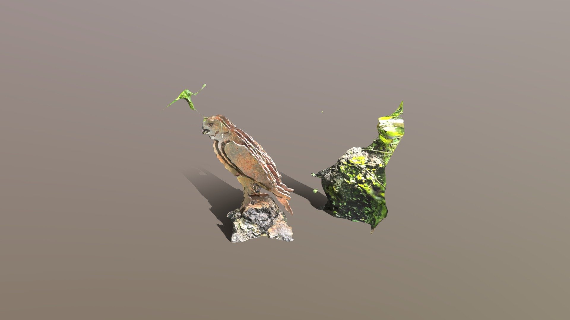 HALCÓN DE HARRIS - 3D model by Ingenieria_geologica [8681a32] - Sketchfab