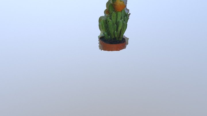 Cactus MGV3 3D Model