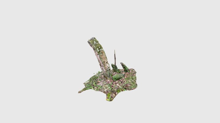 Test 3D Model