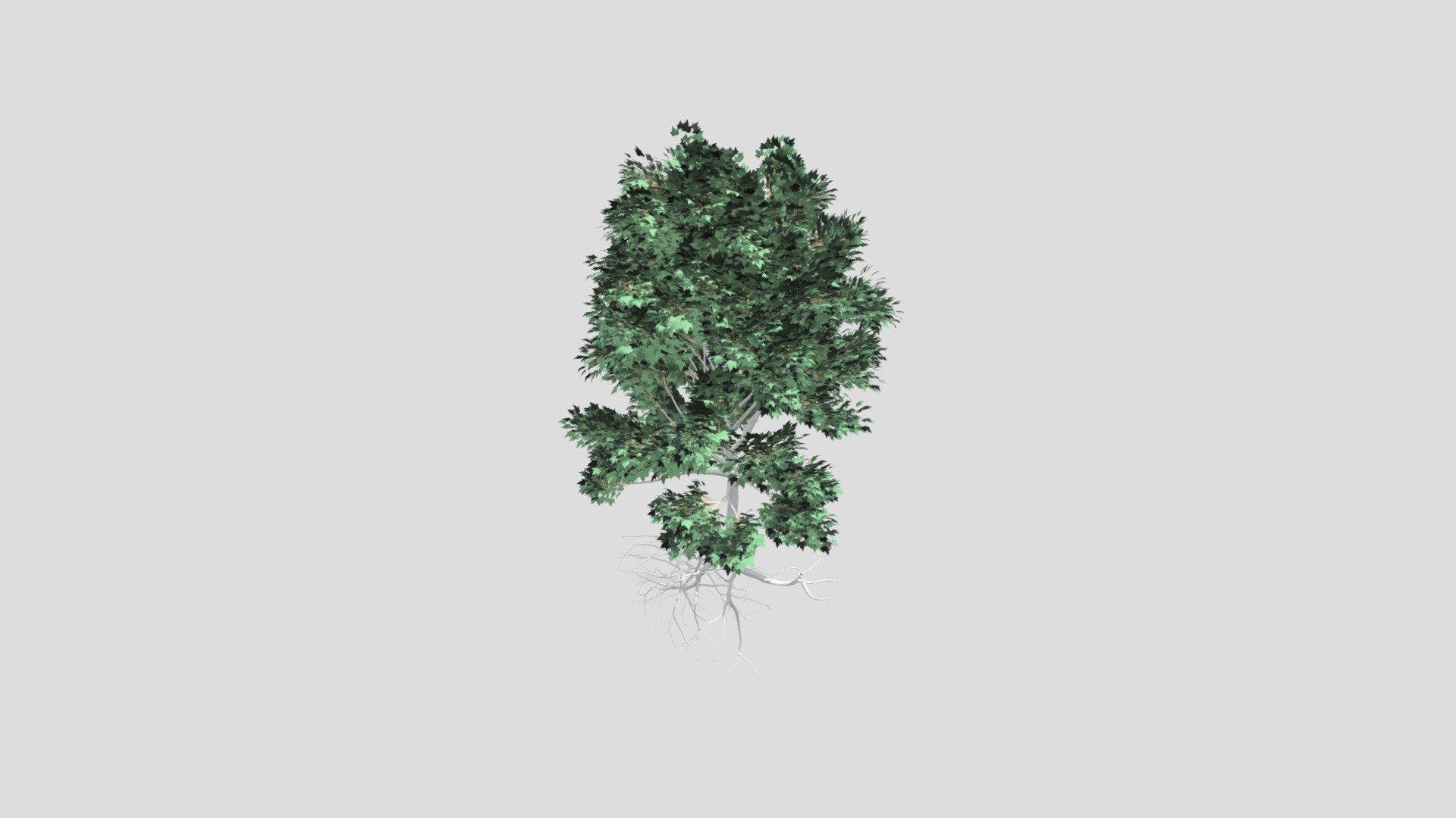 Tree3D