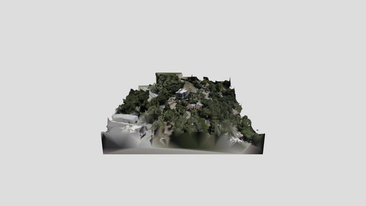 topang1 3D Model