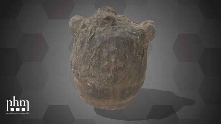 Bulb of an Araceae (NHMW-AFW-DING-0046-009) – Modello 3D gratuito STL