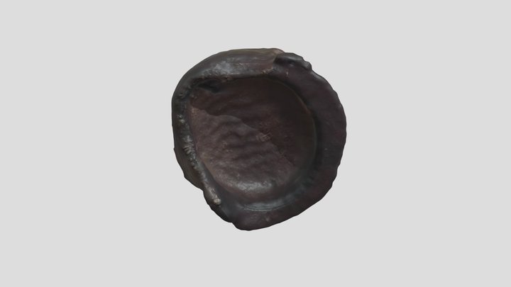 Tue_Apr_20_09_07_12_2021_GMT_obj 3D Model