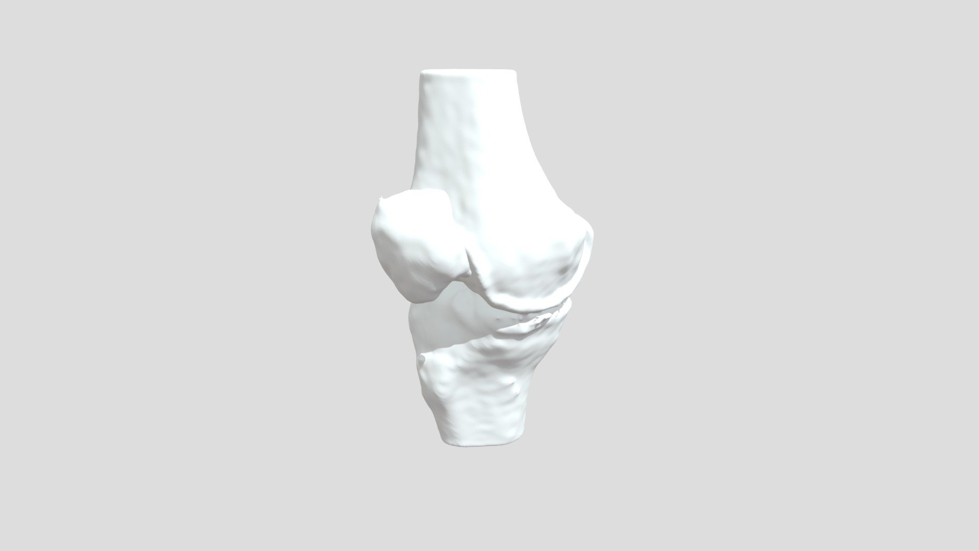 Segmentation Su Sat Rtbone - Download Free 3D model by curisdata ...