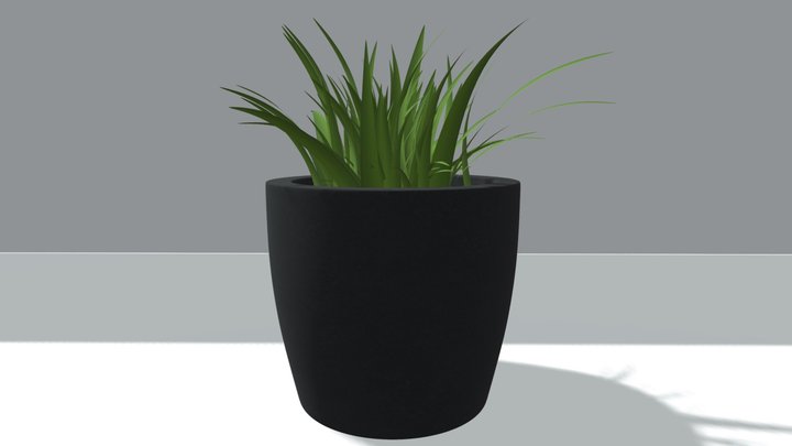 Desk Pant 3D Model