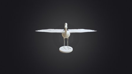 Zwin Museum - Lepelaar 3D Model