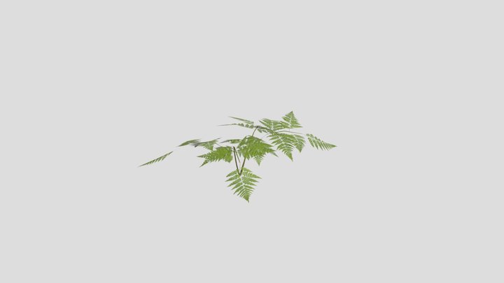 Low poly game-ready fern 3D Model