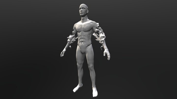 Character Anatomy 3D Model