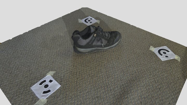 ANTH 480 - Shoe Model 3D Model