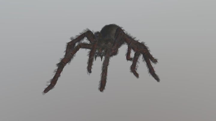 AranaTest 3D Model