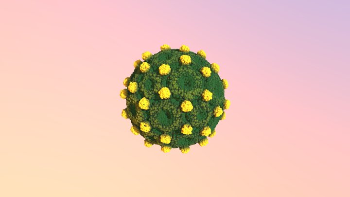 VIRUS_Epatite_B_(RNA_03) 3D Model
