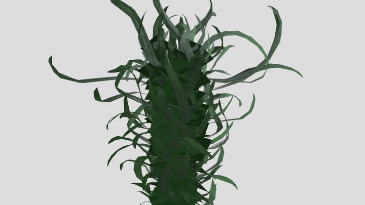 Creepvine (dense) 3D Model