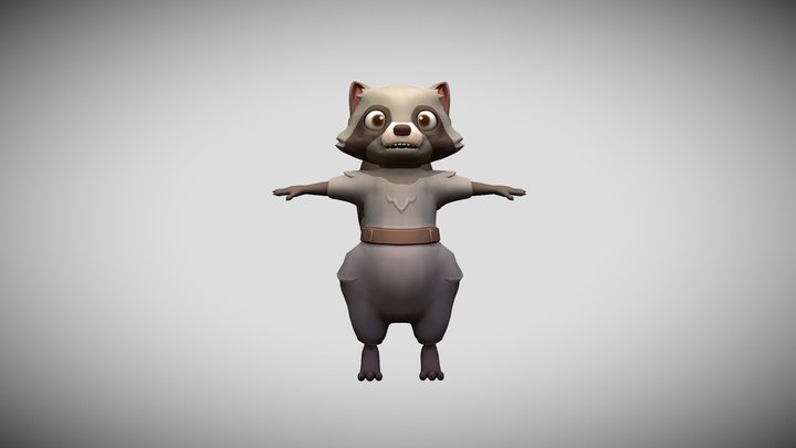 Raccoon 3D Model
