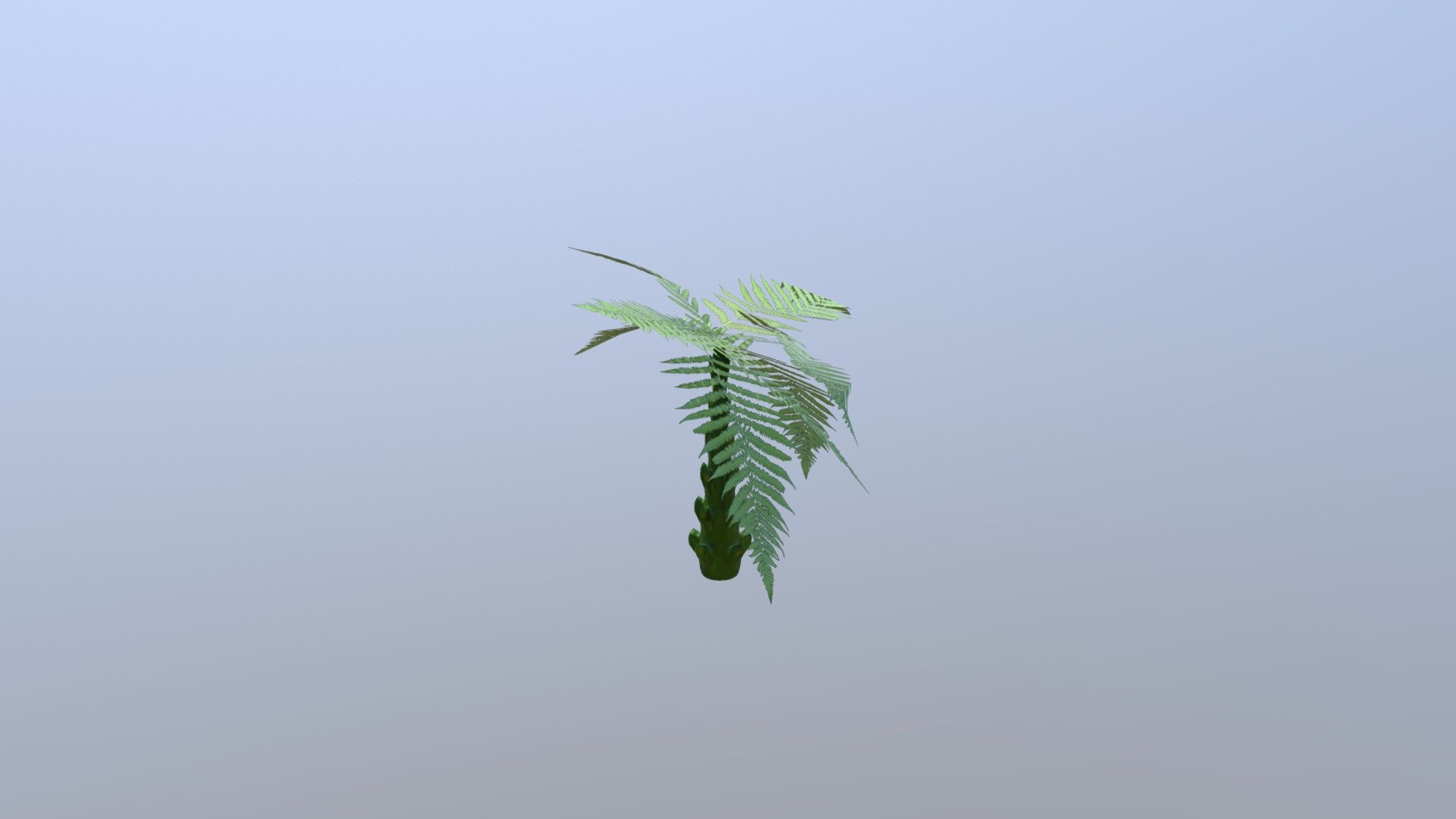 Large Fern - 3D model by enricoleasa [86a3fb8] - Sketchfab