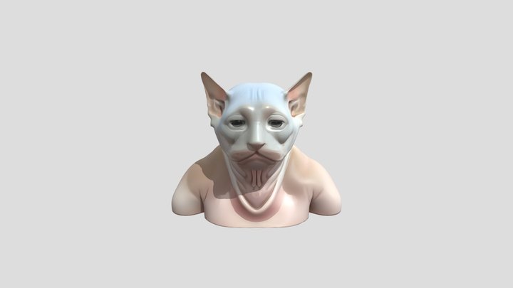 The meme cat 3D Model