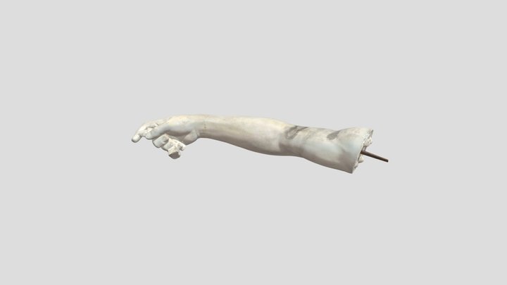 Farnesischer Stier - r. Arm Zethos (G 661) 3D Model