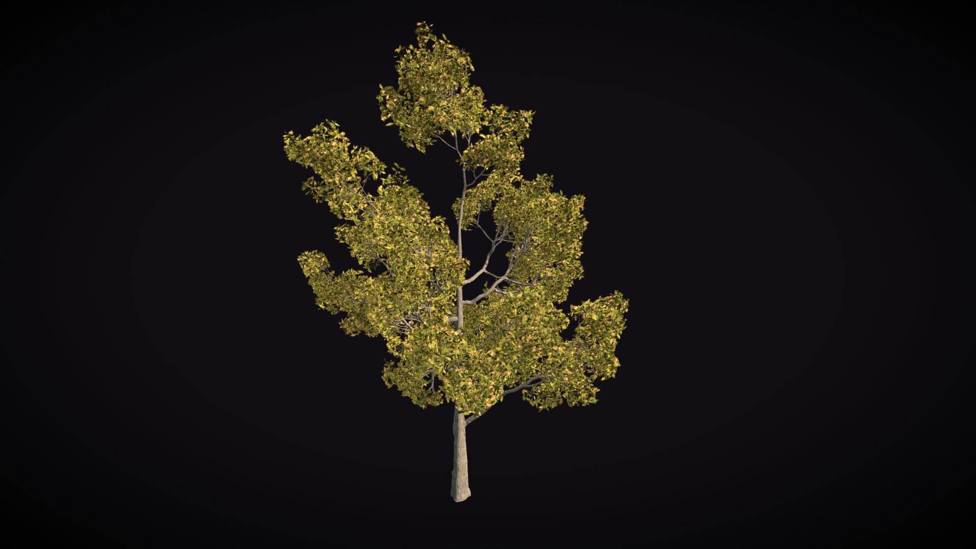 Tree Vegetation - Download Free 3D model by raguramkgr (@ragukgr ...